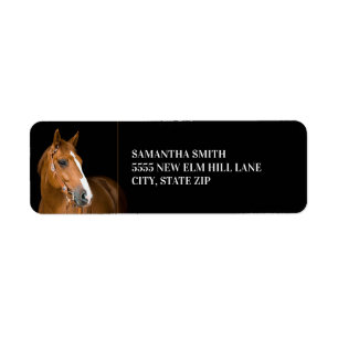 Brown Quarter Horse Photo Black Etiket