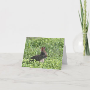 Brown Rabbit Photo Blank Note Kaart