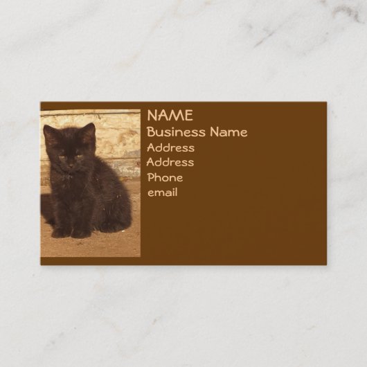 Brown Retro Sepia Kitten Visitekaartjes (Voorkant)