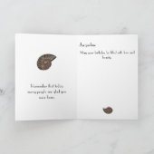 Brown Rock Slice Shell Fossil White Birthday Kaart (Binnen)