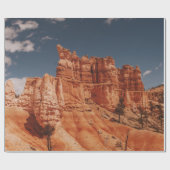 BROWN ROCKS CADEAUPAPIER (Vlak)