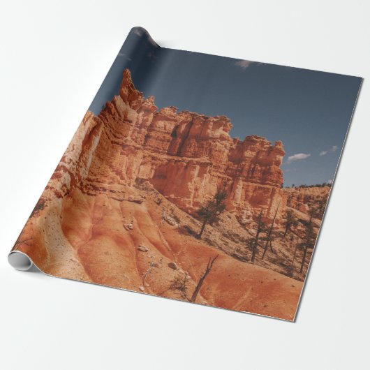 BROWN ROCKS CADEAUPAPIER (Uitgerold)