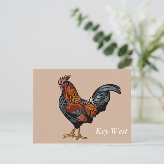 Brown Rooster Key West Post Kaart (Staand voorkant)