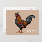 Brown Rooster Key West Post Kaart (Voorkant / Achterkant)