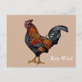 Brown Rooster Key West Post Kaart (Voorkant)