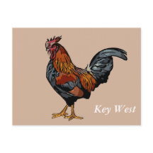 Brown Rooster Key West Post Kaart