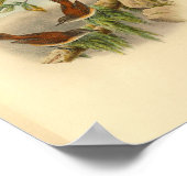 Brown Rufous Backed Greywent Bird  Print (Hoek)