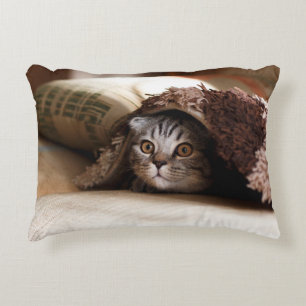 BROWN SCOTTISH FOLD IN BROWN THICK-PILE BLANKET ACCENT KUSSEN