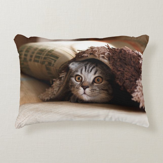 BROWN SCOTTISH FOLD IN BROWN THICK-PILE BLANKET ACCENT KUSSEN (Voorkant)