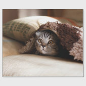 BROWN SCOTTISH FOLD IN BROWN THICK-PILE BLANKET CADEAUPAPIER (Vlak)