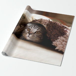 BROWN SCOTTISH FOLD IN BROWN THICK-PILE BLANKET CADEAUPAPIER