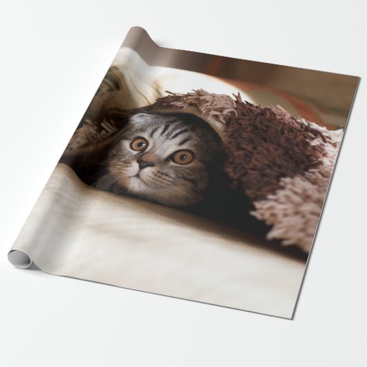 BROWN SCOTTISH FOLD IN BROWN THICK-PILE BLANKET CADEAUPAPIER (Uitgerold)