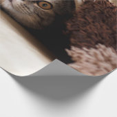 BROWN SCOTTISH FOLD IN BROWN THICK-PILE BLANKET CADEAUPAPIER (Hoek)