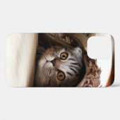 BROWN SCOTTISH FOLD IN BROWN THICK-PILE BLANKET Case-Mate iPhone CASE (Achterkant (horizontaal))