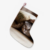 BROWN SCOTTISH FOLD IN BROWN THICK-PILE BLANKET KLEINE KERSTSOK (Voorkant (Hangend))