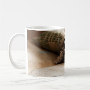 BROWN SCOTTISH FOLD IN BROWN THICK-PILE BLANKET KOFFIEMOK