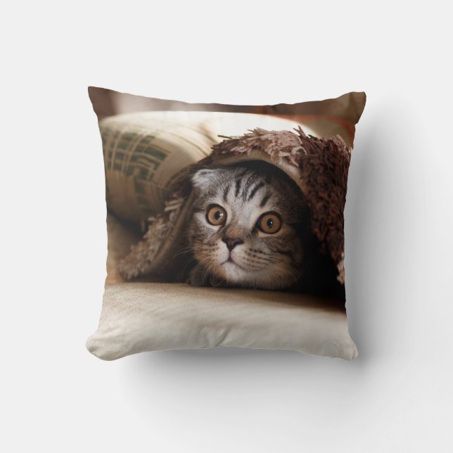 BROWN SCOTTISH FOLD IN BROWN THICK-PILE BLANKET KUSSEN (Voorkant)