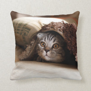 BROWN SCOTTISH FOLD IN BROWN THICK-PILE BLANKET KUSSEN