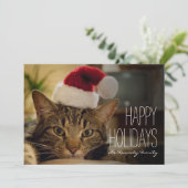 Brown short-haired tabby cat feestdagenkaart (Staand voorkant)