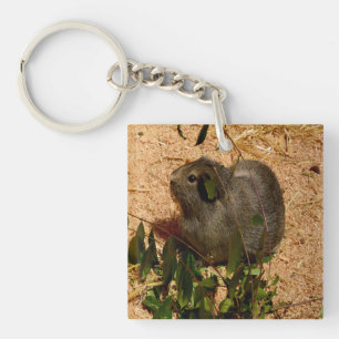 Brown Smooth Haire Guinee Pig Sleutelhanger