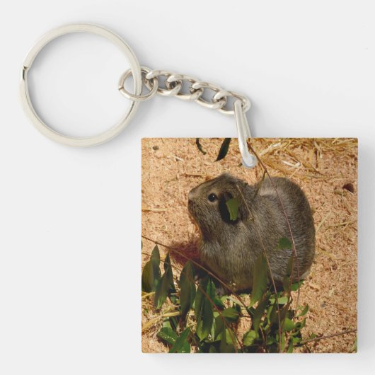 Brown Smooth Haire Guinee Pig Sleutelhanger (voorkant)