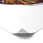 Brown Snail Shell Poster (Hoek)