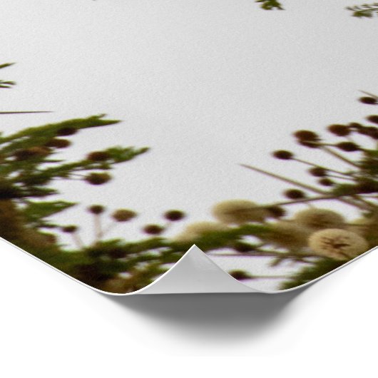 Brown Snake Eagle – Sentinel van de Savanne Poster (Hoek)