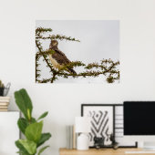 Brown Snake Eagle – Sentinel van de Savanne Poster (Thuiskantoor)
