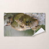 Brown Squirrel Wildlife Photography Handdoek (Handdoek)