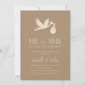 Brown Stork Baby Delivery Hij of zij Gender Reveal Kaart (Voorkant)