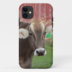 Brown Swiss Cow IPhone Case