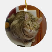 Brown Tabby Cat kerstversiering Keramisch Ornament (Voorkant)