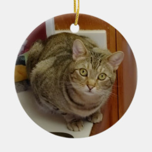 Brown Tabby Cat kerstversiering Keramisch Ornament