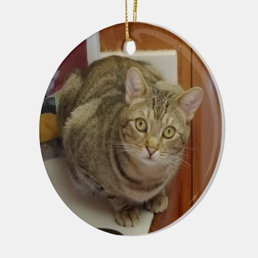 Brown Tabby Cat kerstversiering Keramisch Ornament (Links)