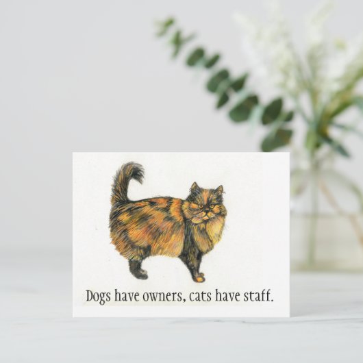 Brown Tabby Cat Postcard Briefkaart (Staand voorkant)