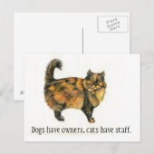 Brown Tabby Cat Postcard Briefkaart (Voorkant / Achterkant)