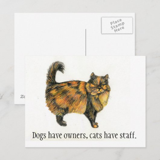 Brown Tabby Cat Postcard Briefkaart (Voorkant / Achterkant)