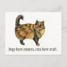 Brown Tabby Cat Postcard Briefkaart