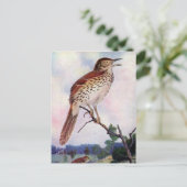 Brown Thrasher Briefkaart (Staand voorkant)