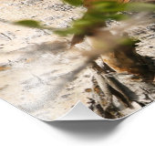 Brown Thrasher Foto Afdruk (Hoek)