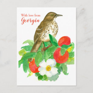 Brown Thrasher met liefde voor Georgië Briefkaart
