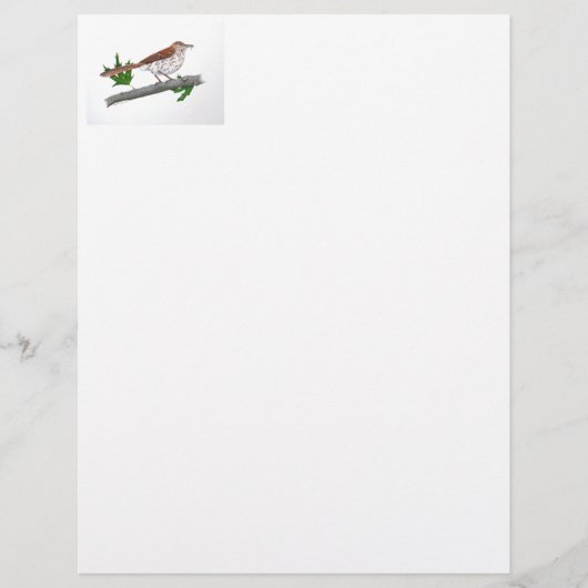Brown Thrasher Stationery Briefhoofd (Voorkant)