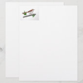 Brown Thrasher Stationery Briefhoofd (Voorkant / Achterkant)