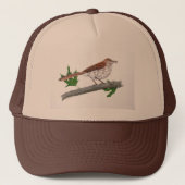 Brown Thrasher Trucker Hat Trucker Pet (Voorkant)