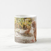 BROWN TIGER IN WALKING GESTAND KOFFIEMOK (Center)