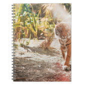 BROWN TIGER IN WALKING GESTAND NOTITIEBOEK (Voorkant)