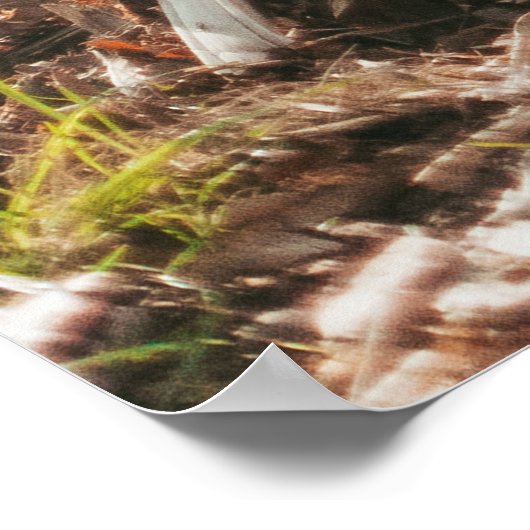 BROWN TIGER IN WALKING GESTAND POSTER (Hoek)