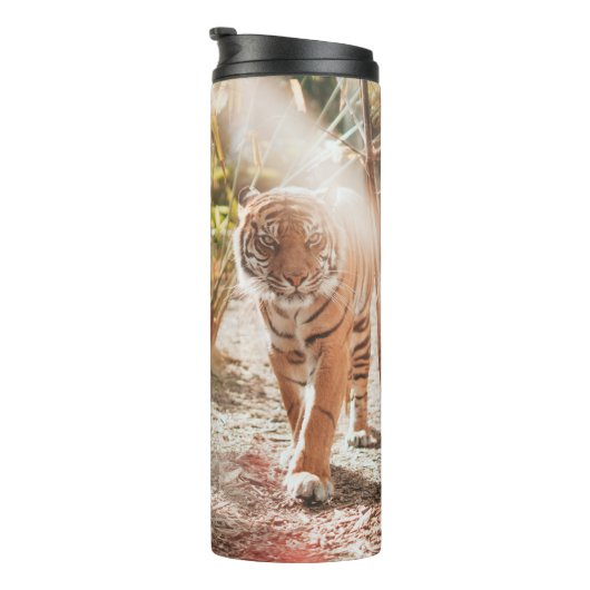 BROWN TIGER IN WALKING GESTAND THERMOSBEKER (Geroteerd rechts)