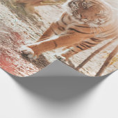 BROWN TIGER IN WALKING GESTURE CADEAUPAPIER (Hoek)