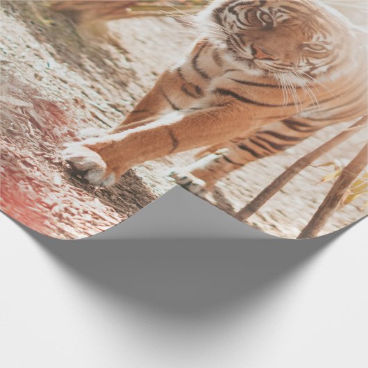 BROWN TIGER IN WALKING GESTURE CADEAUPAPIER (Hoek)